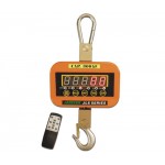 Cân Treo 100kg, 200kg, Can Treo 100kg, 200kg - image4